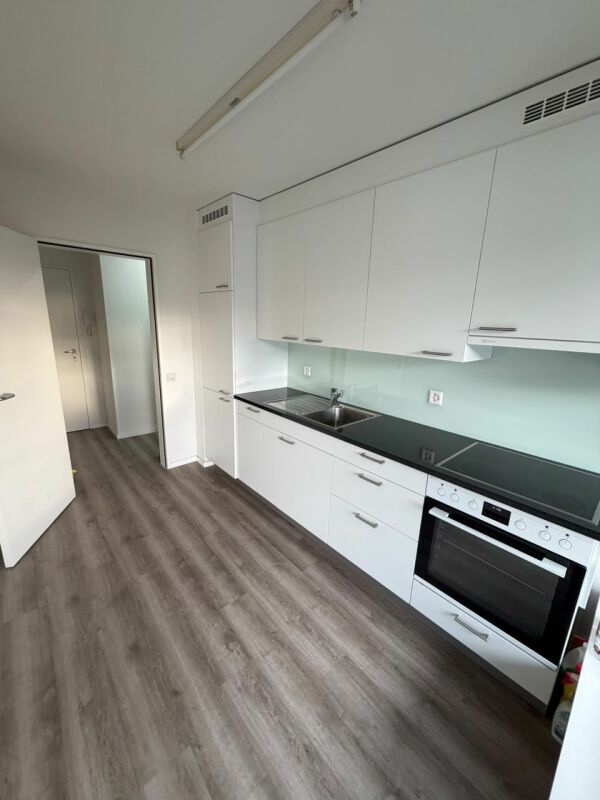Appartamento di 2 ½ locali, foto 2 di 10