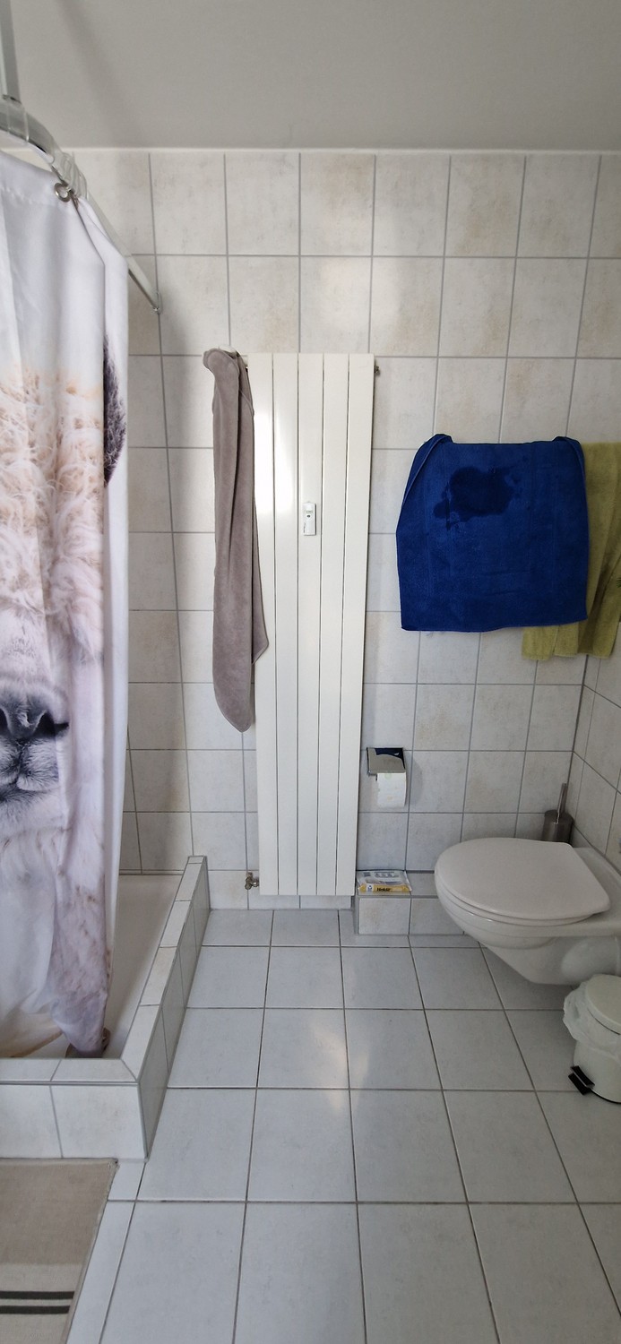 Appartamento di 3 ½ locali, foto 9 di 10