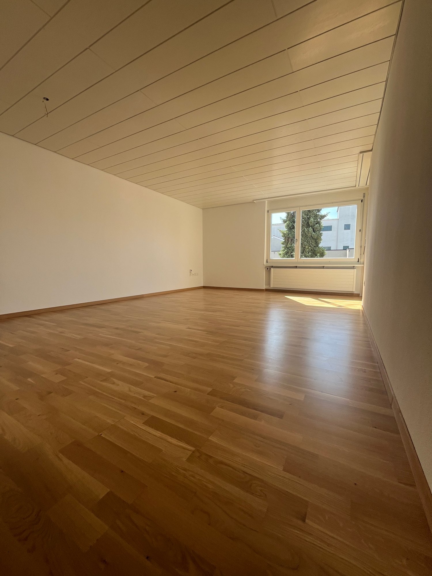 Appartamento di 2 ½ locali
