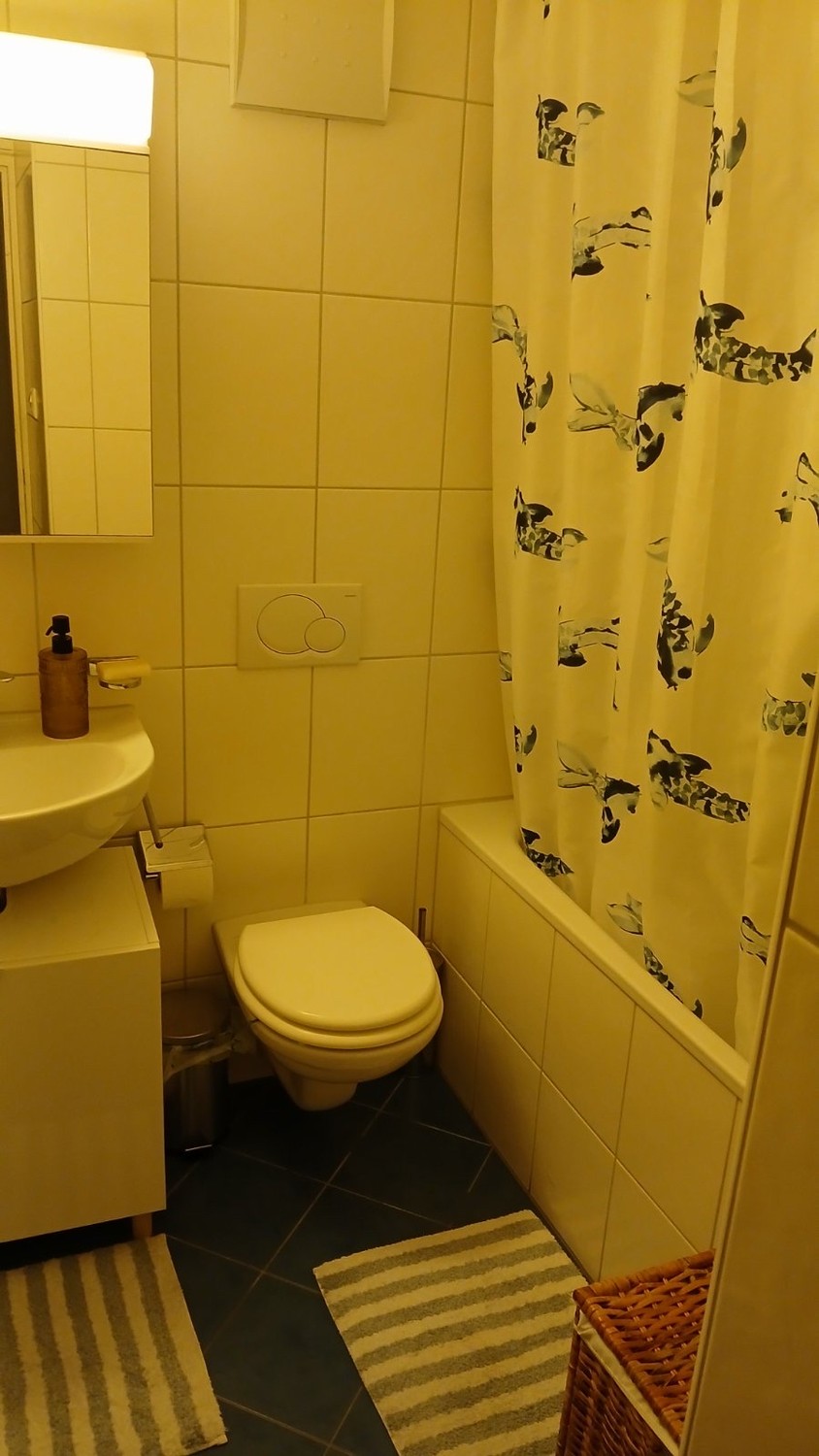 Appartamento di 2 ½ locali