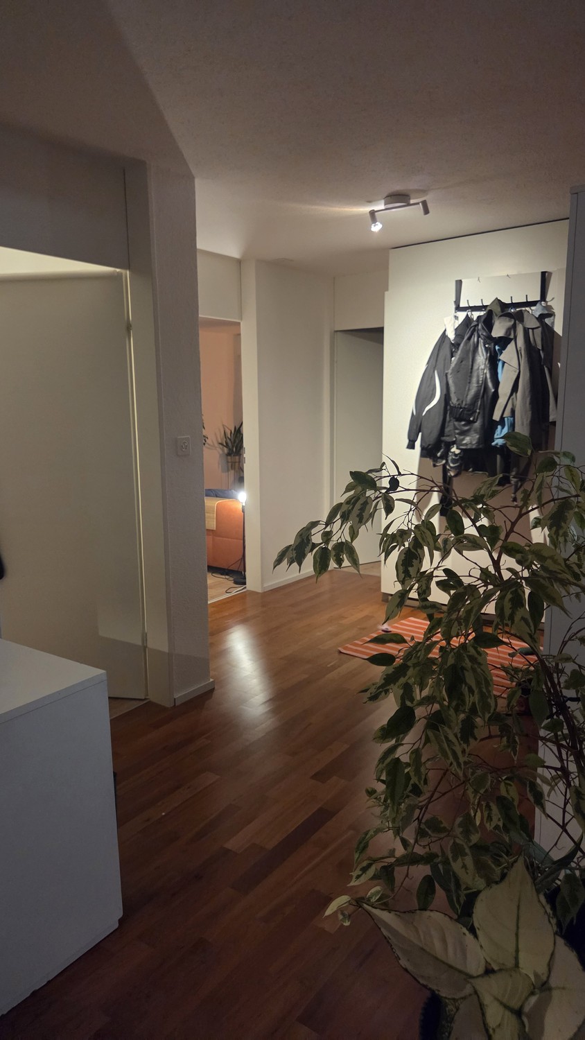 Stanza in un appartamento condiviso