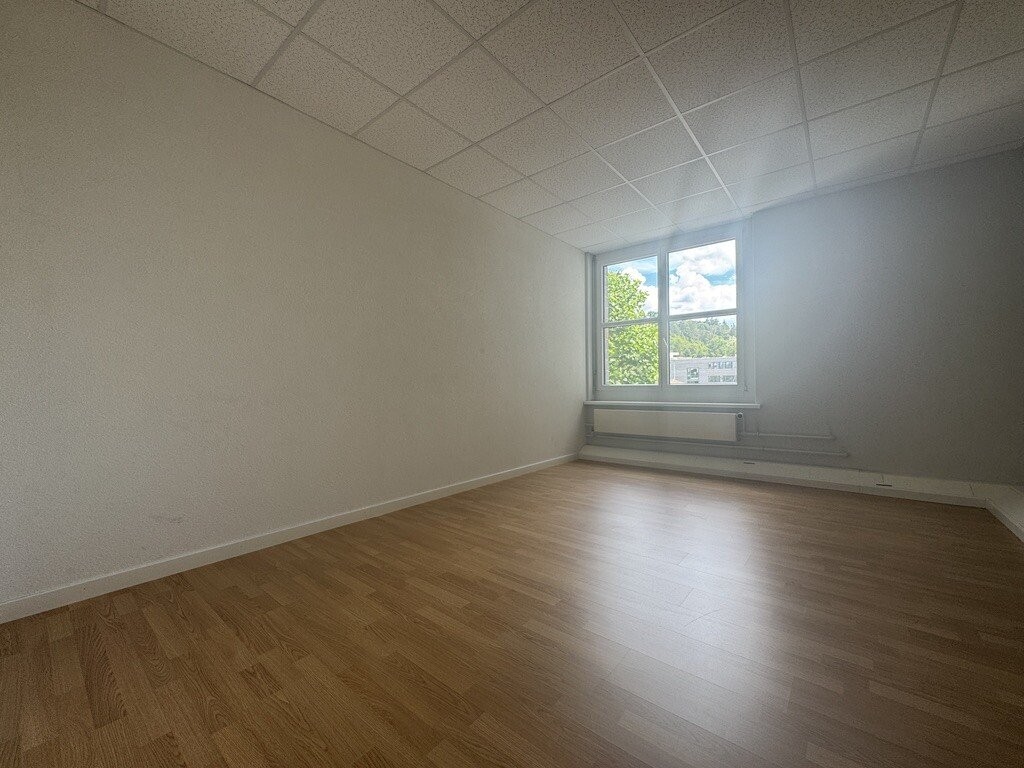 56m² commerciale