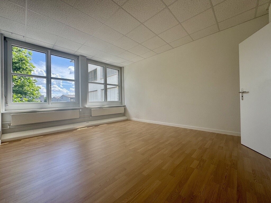 56m² commerciale