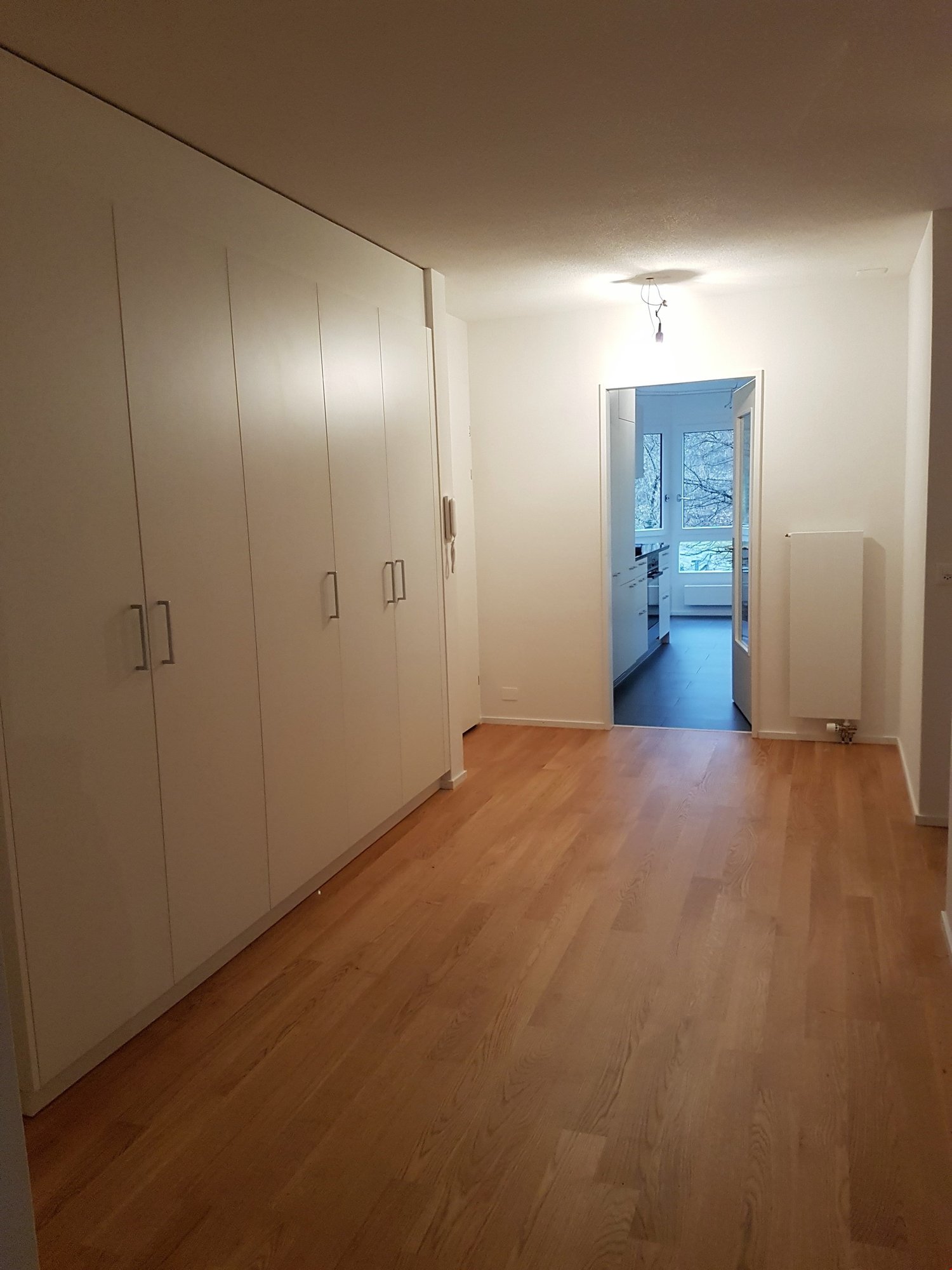Appartamento di 2 ½ locali, foto 3 di 6