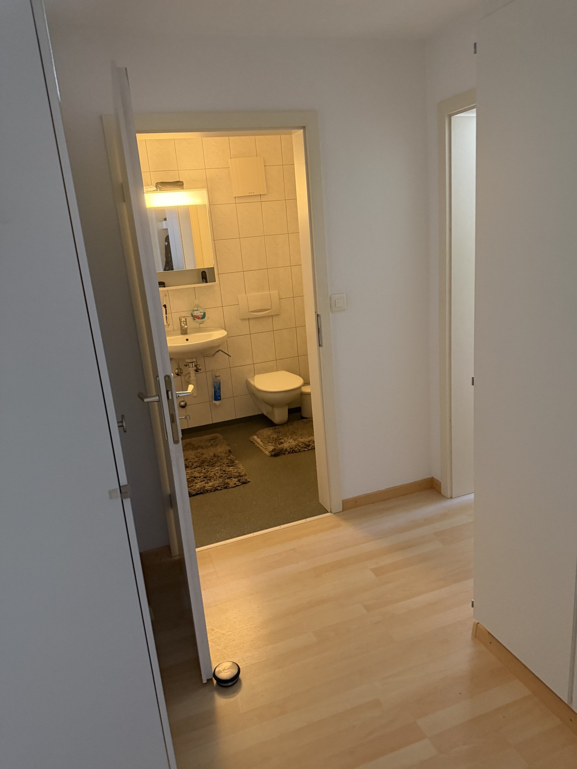 Appartamento di 2 ½ locali