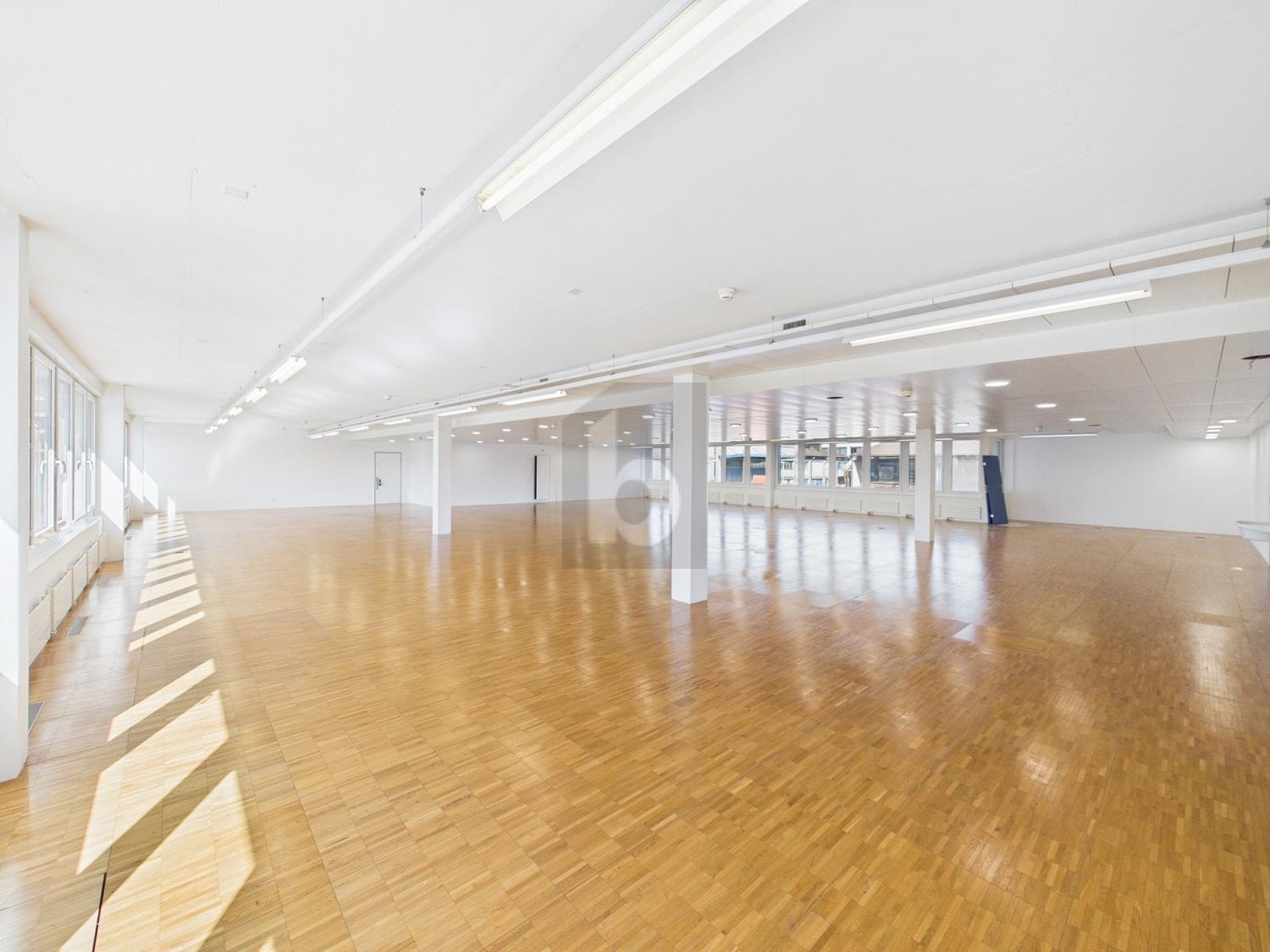 401m² ufficio