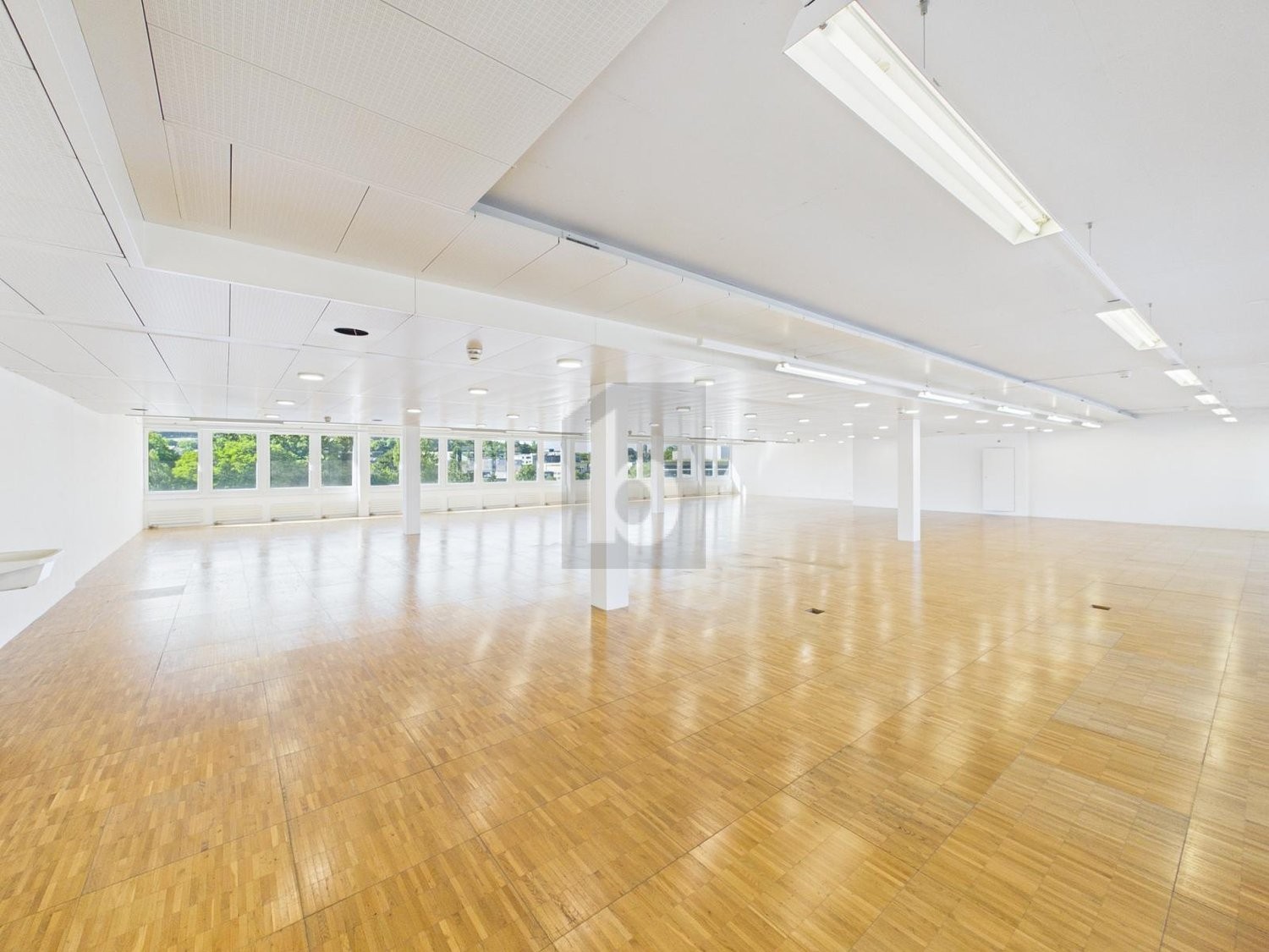 401m² ufficio