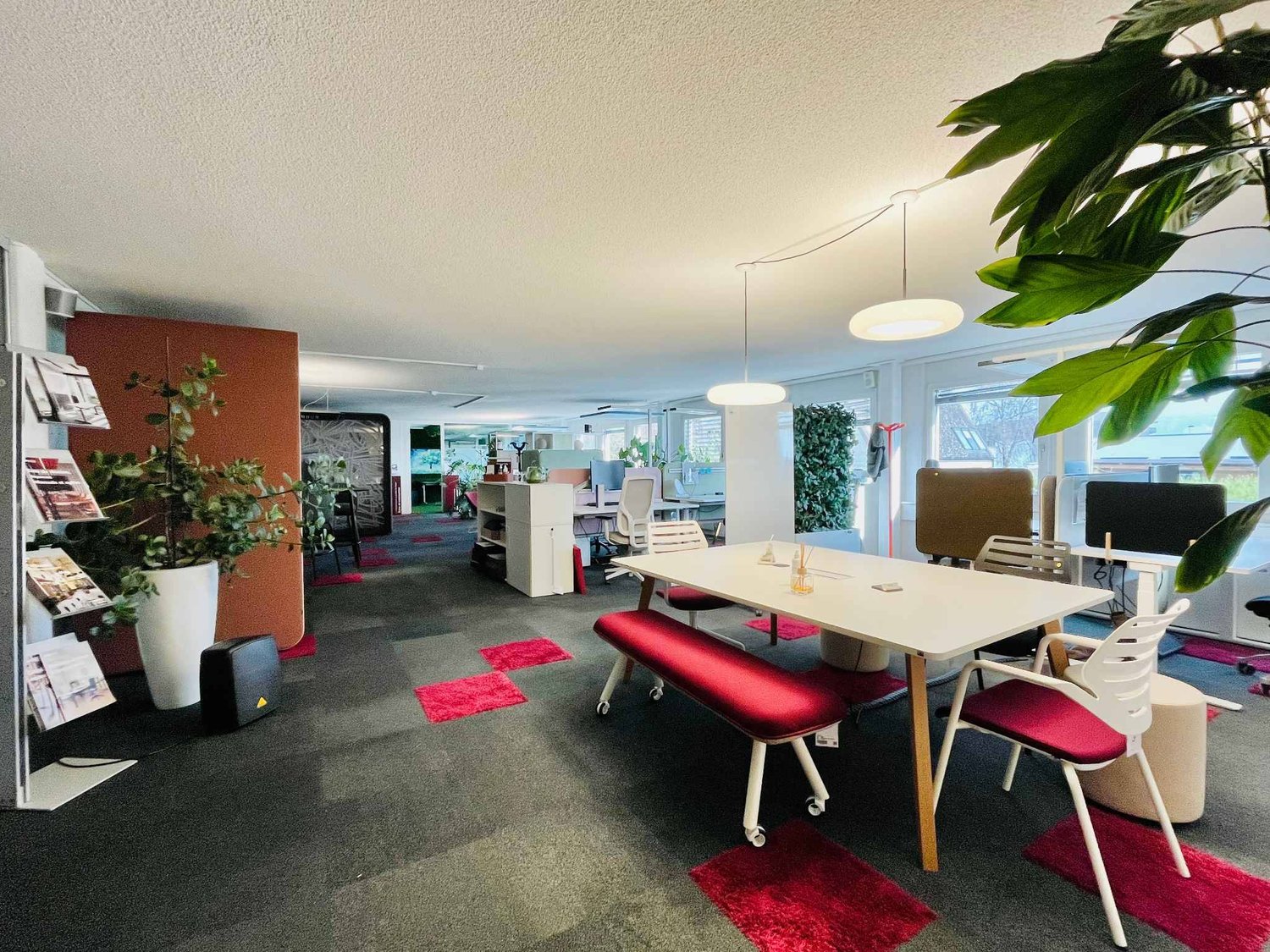 487m² commercial