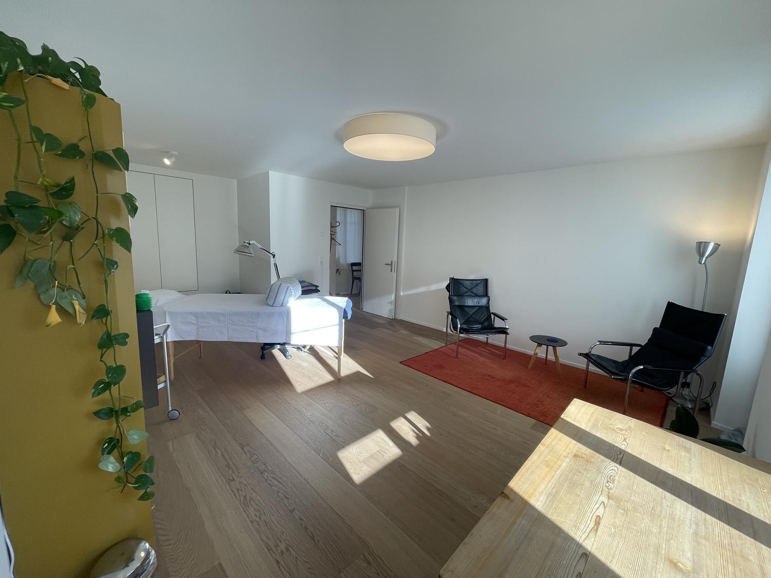 25m² commerciale
