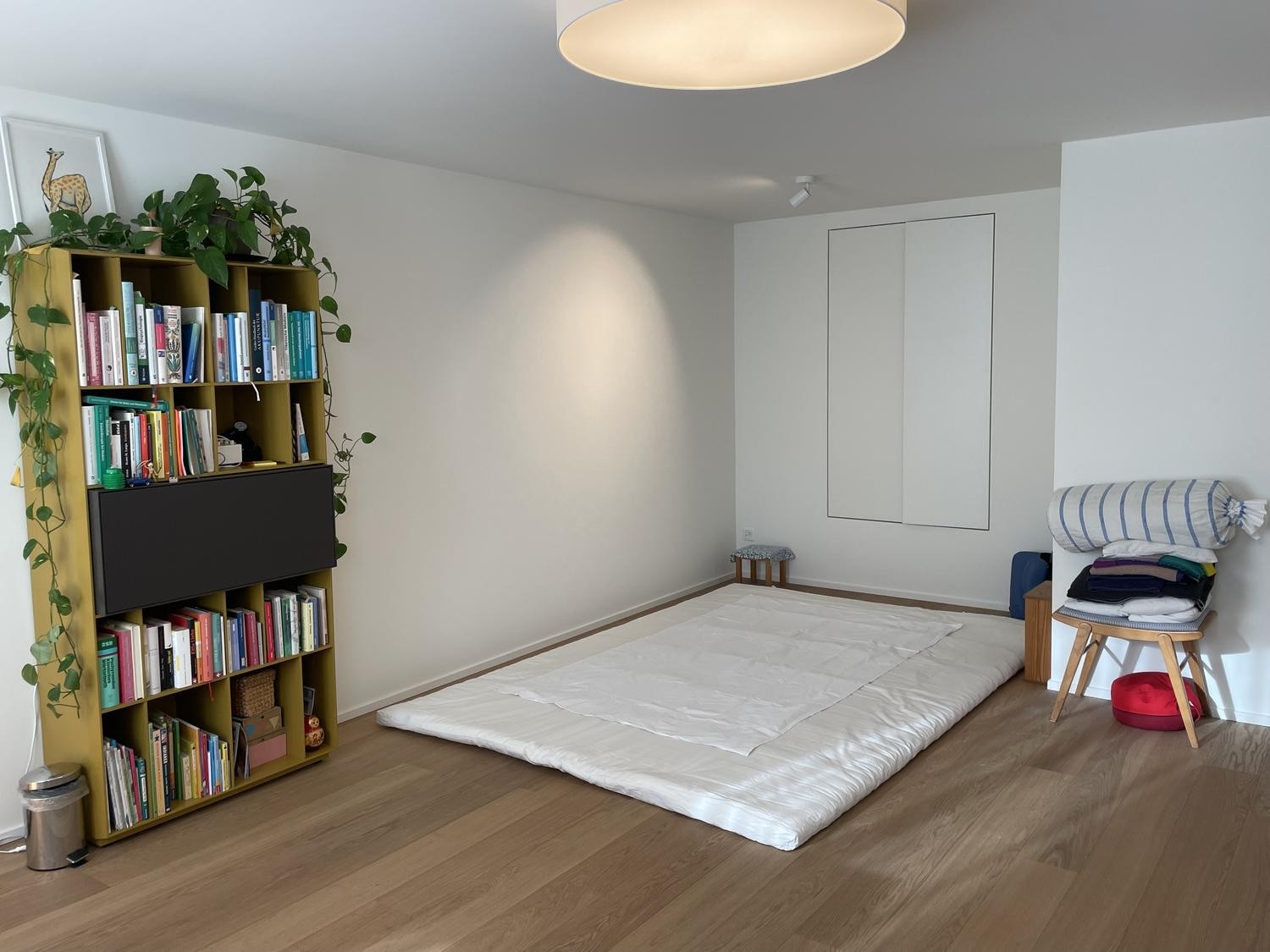 25m² commerciale