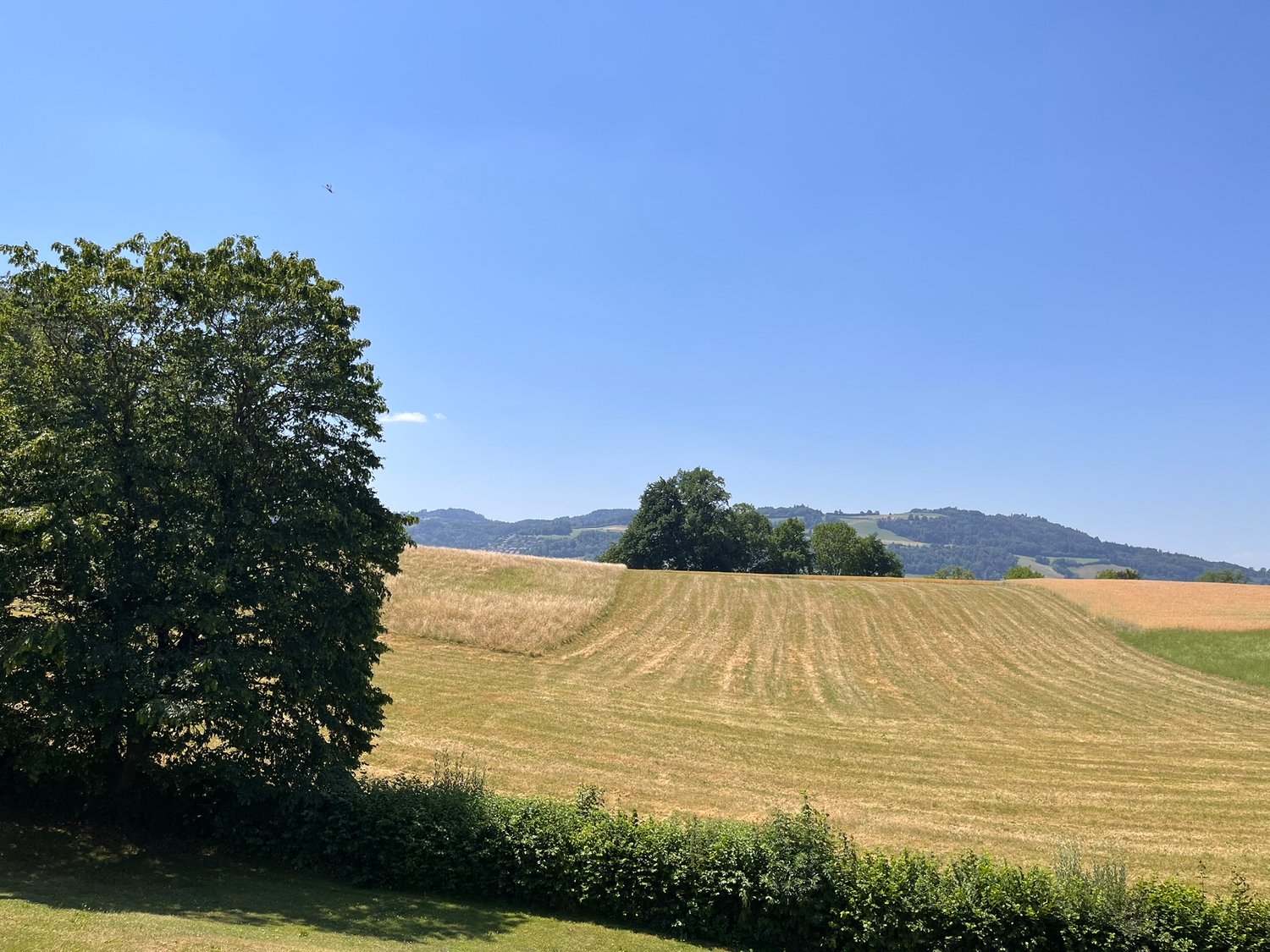 appartamento di 5 locali