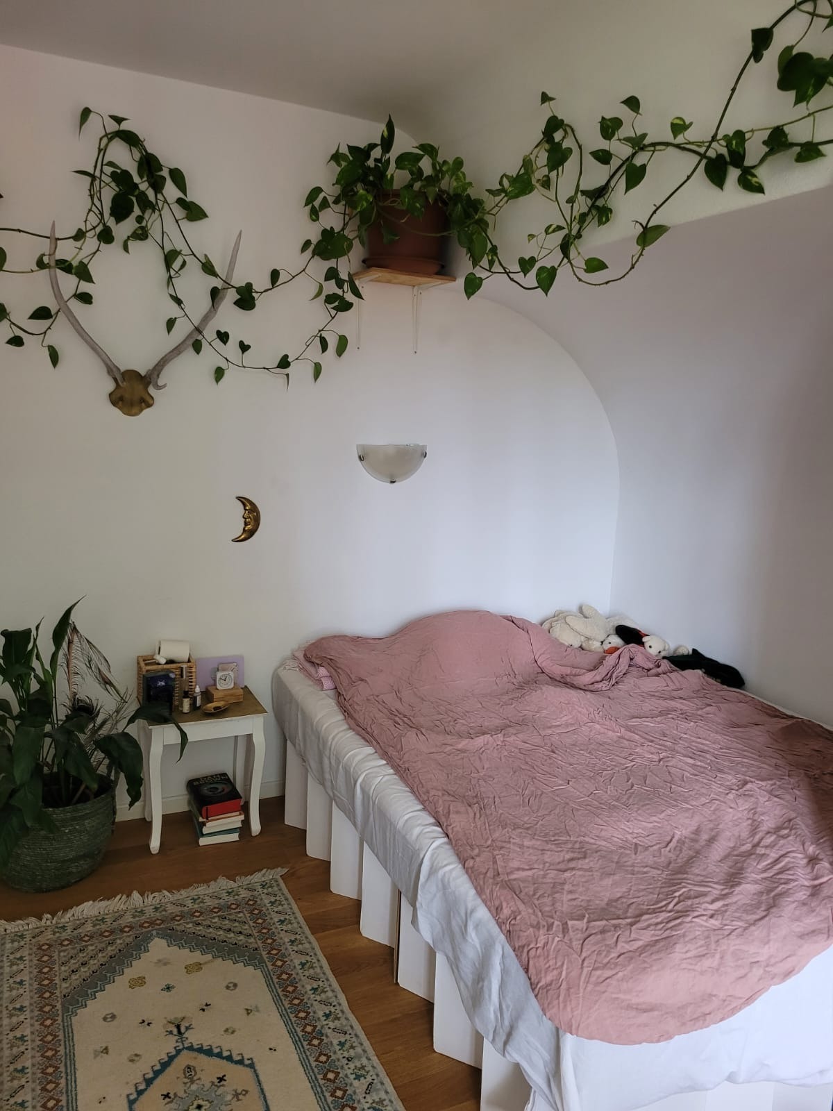 Stanza in un appartamento condiviso, foto 2 di 7