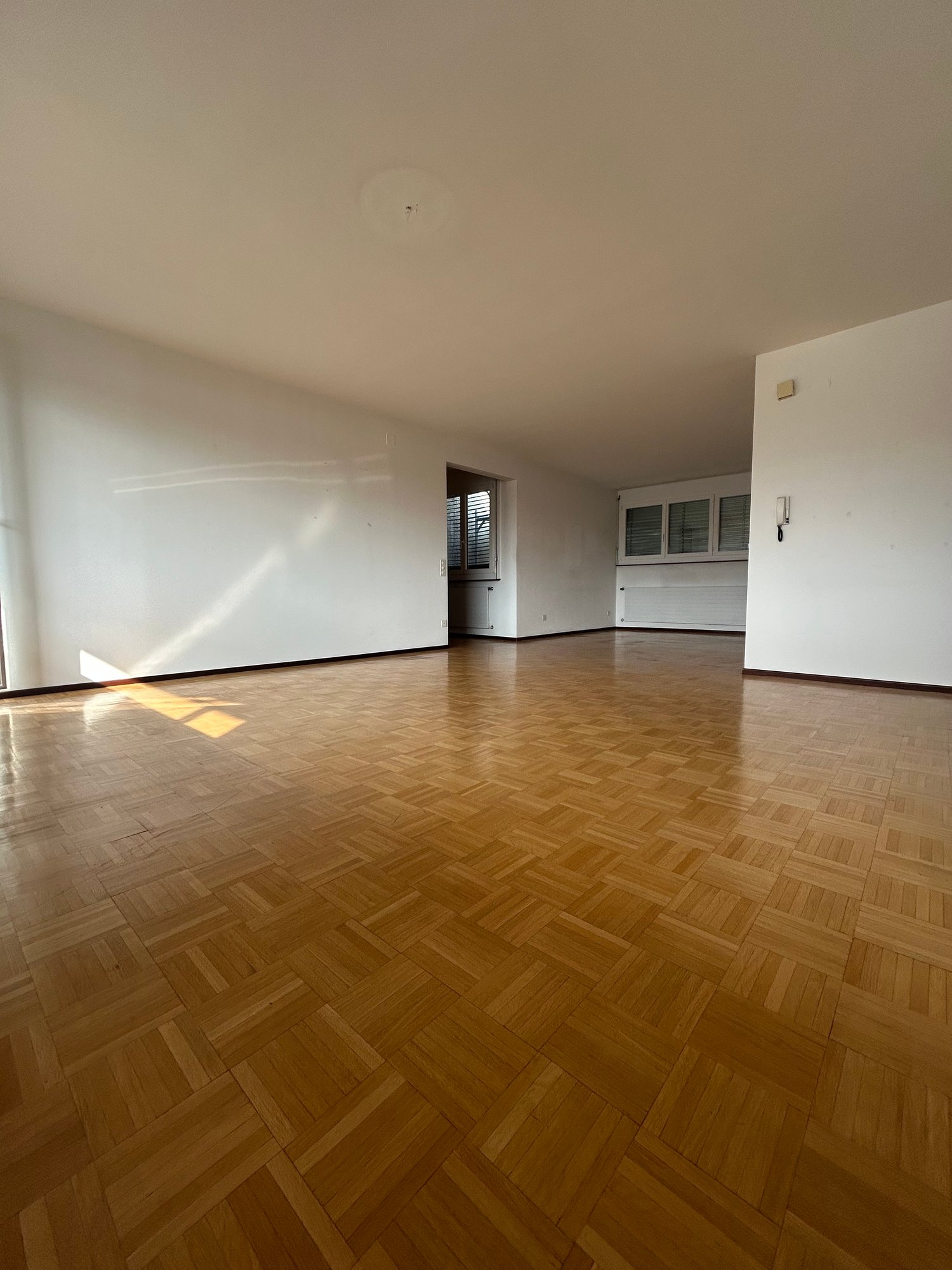 4 ½ Zimmer-Wohnung