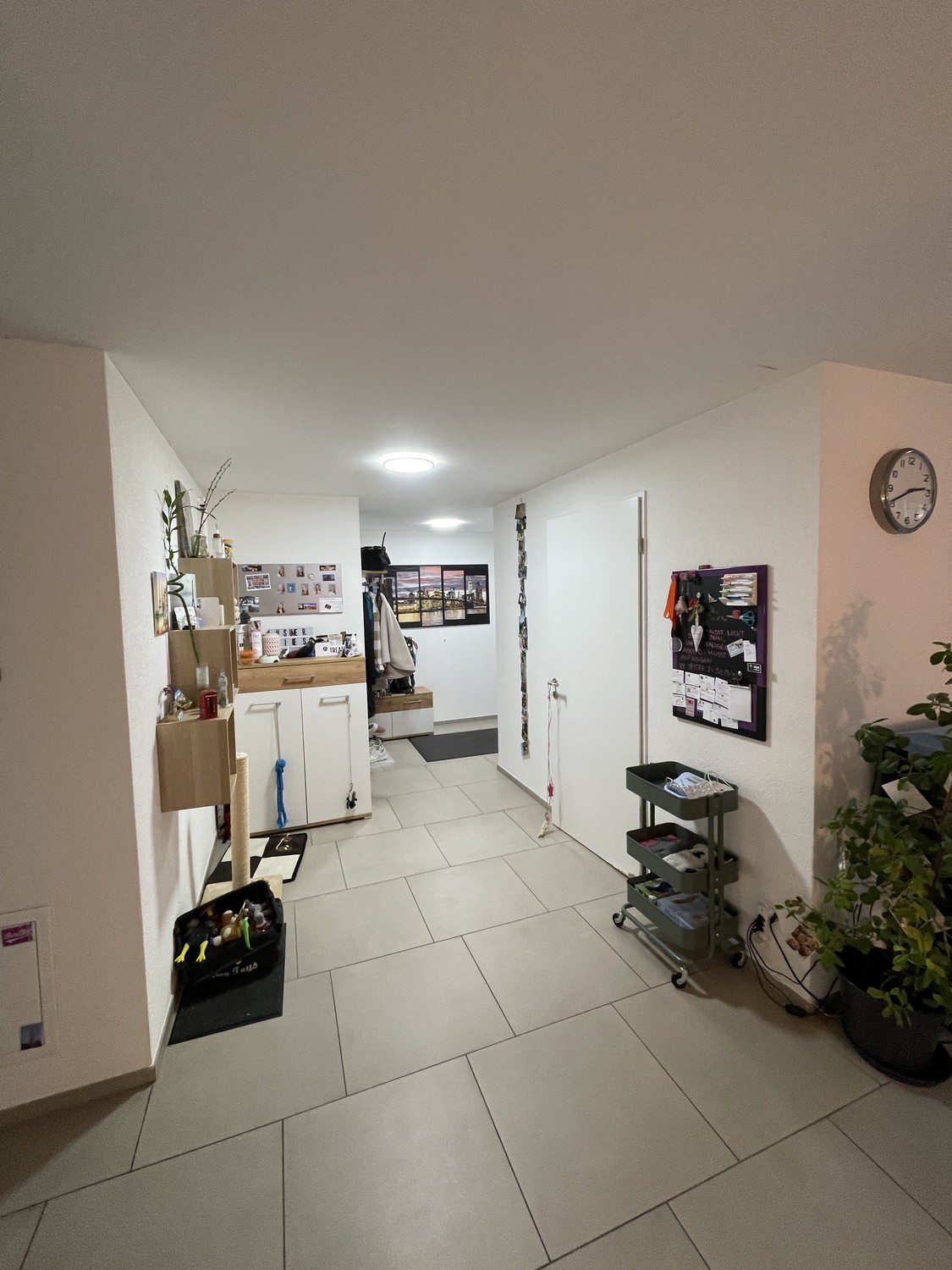 Appartamento di 2 ½ locali, foto 3 di 10