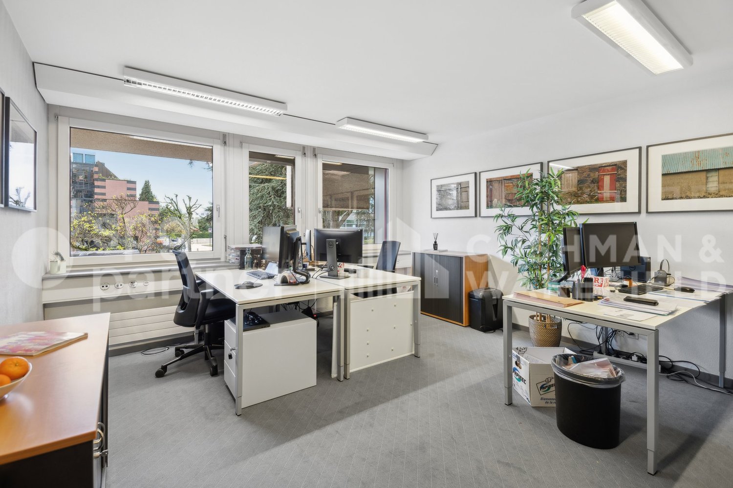 340m² ufficio