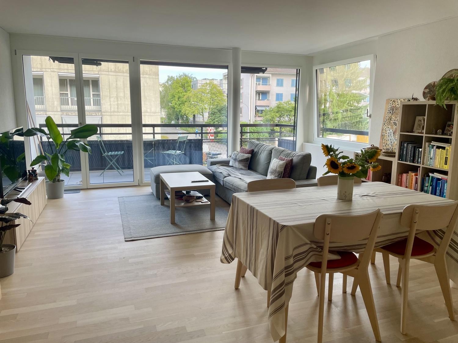 Appartamento di 3 ½ locali