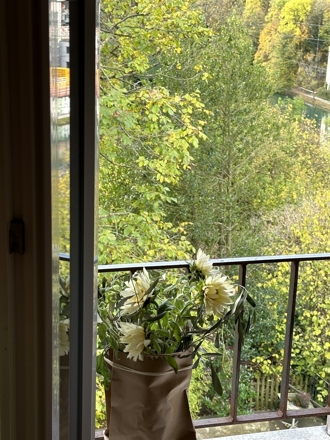 Stanza in un appartamento condiviso