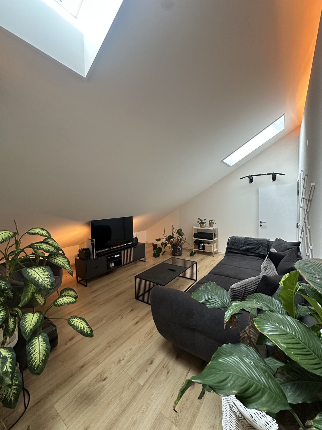 Appartement de 2 ½ pièces
