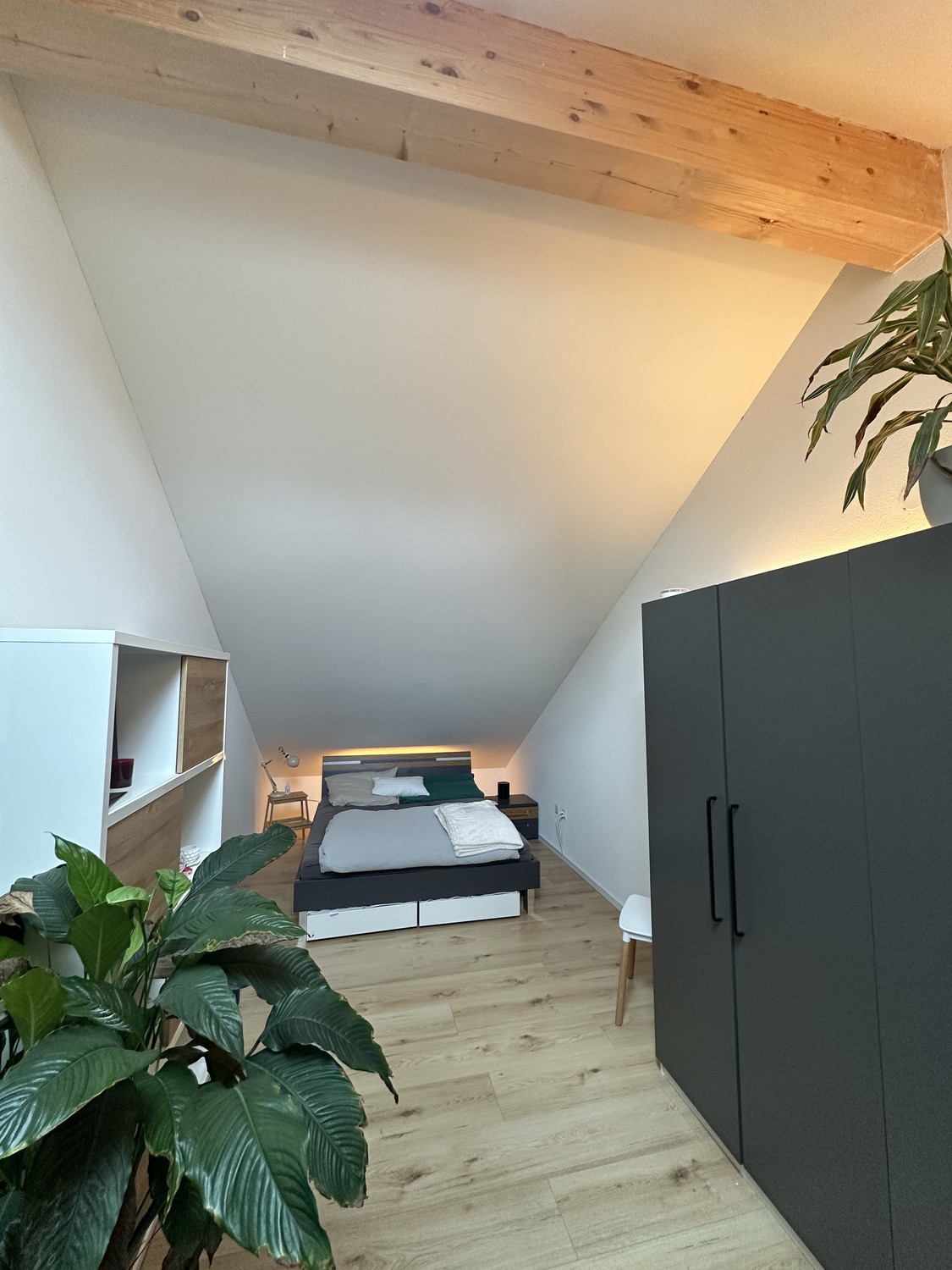 Appartement de 2 ½ pièces
