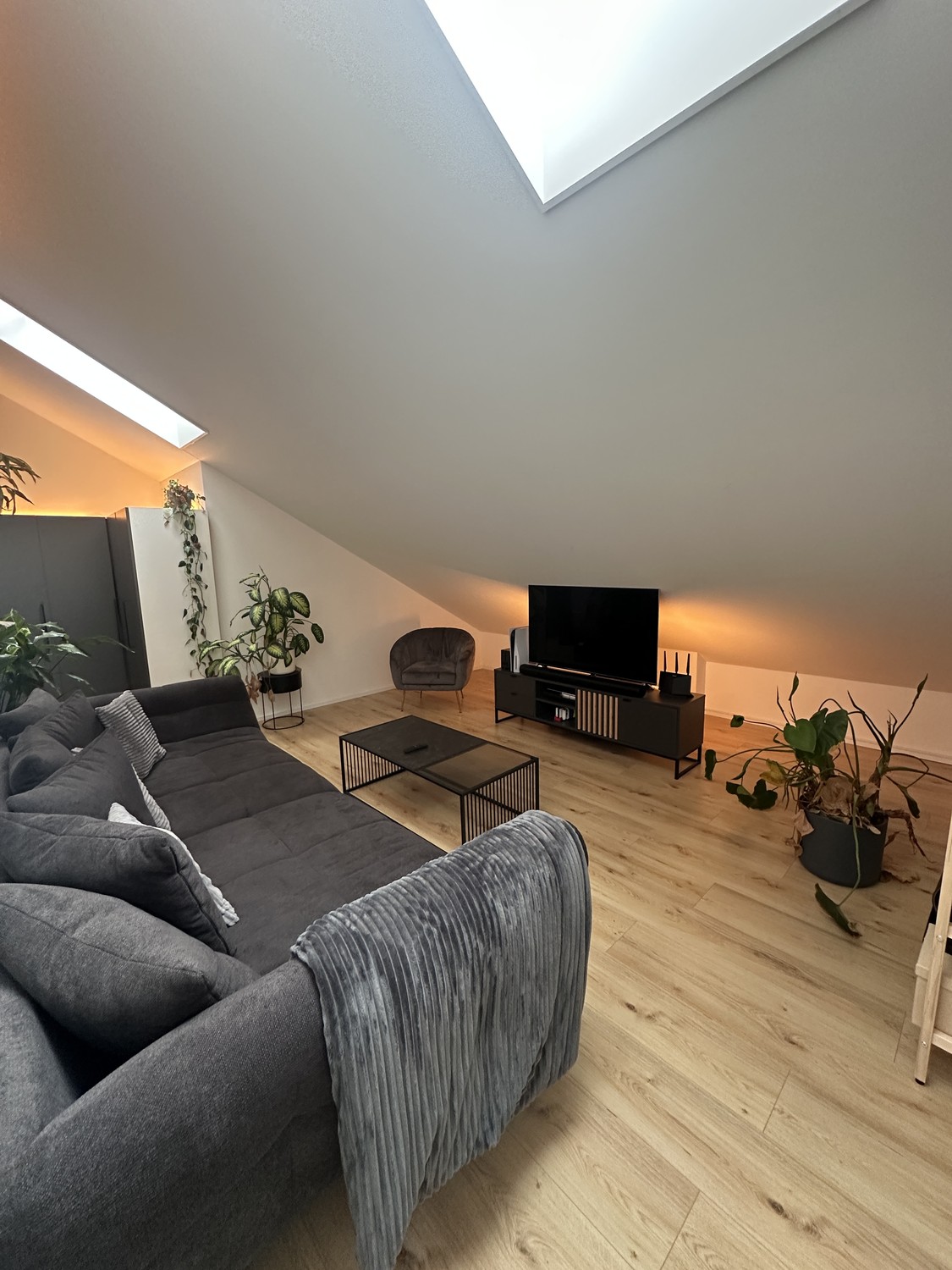 Appartement de 2 ½ pièces