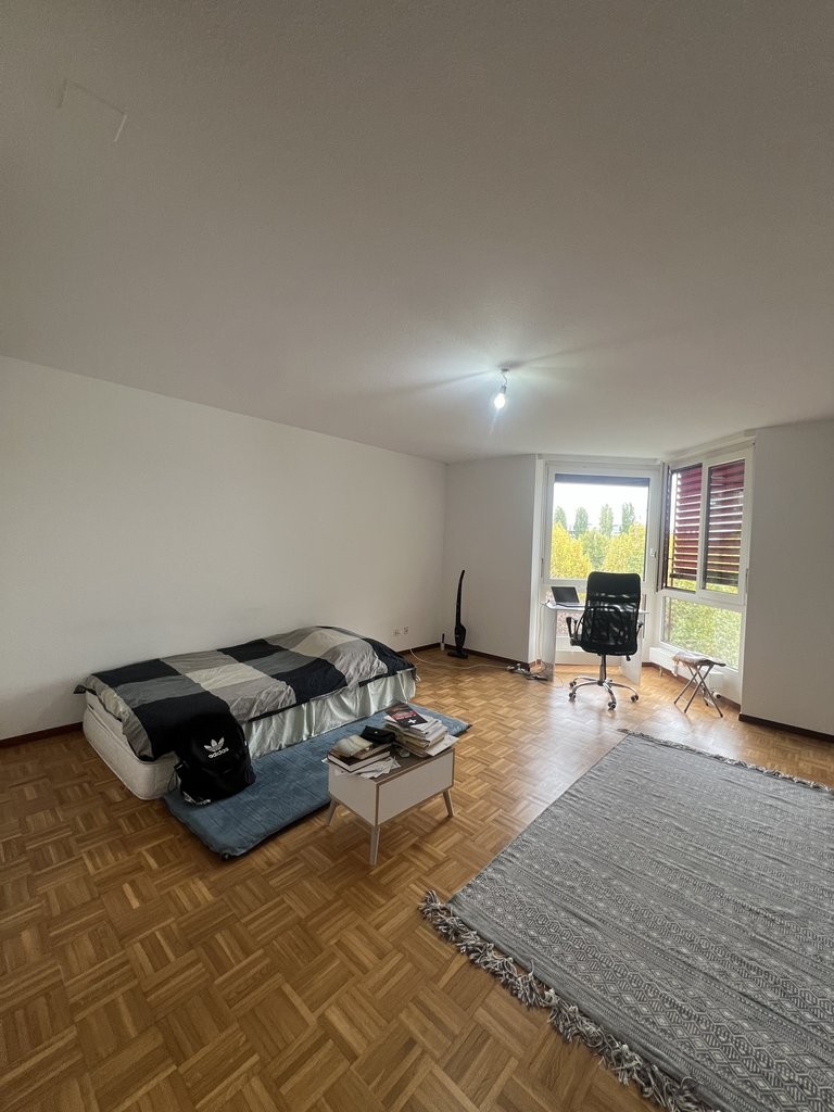 Appartamento di 2 ½ locali, foto 2 di 4