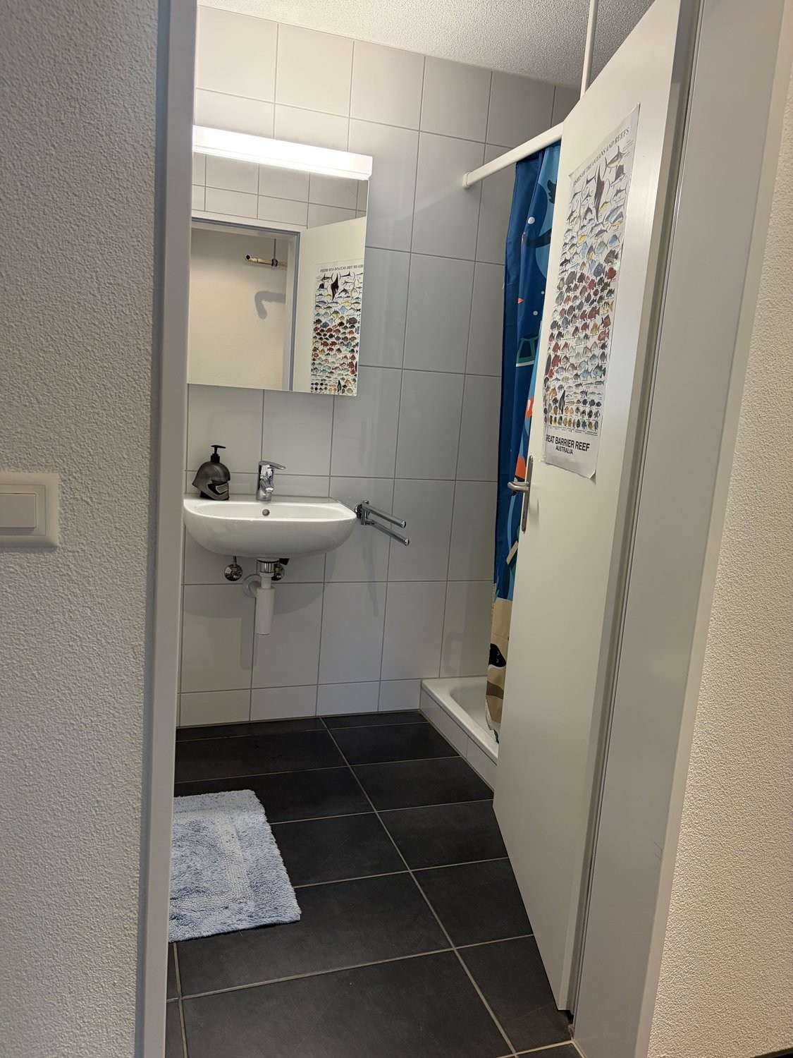 appartamento arredato di 3 ½ locali, foto 8 di 10