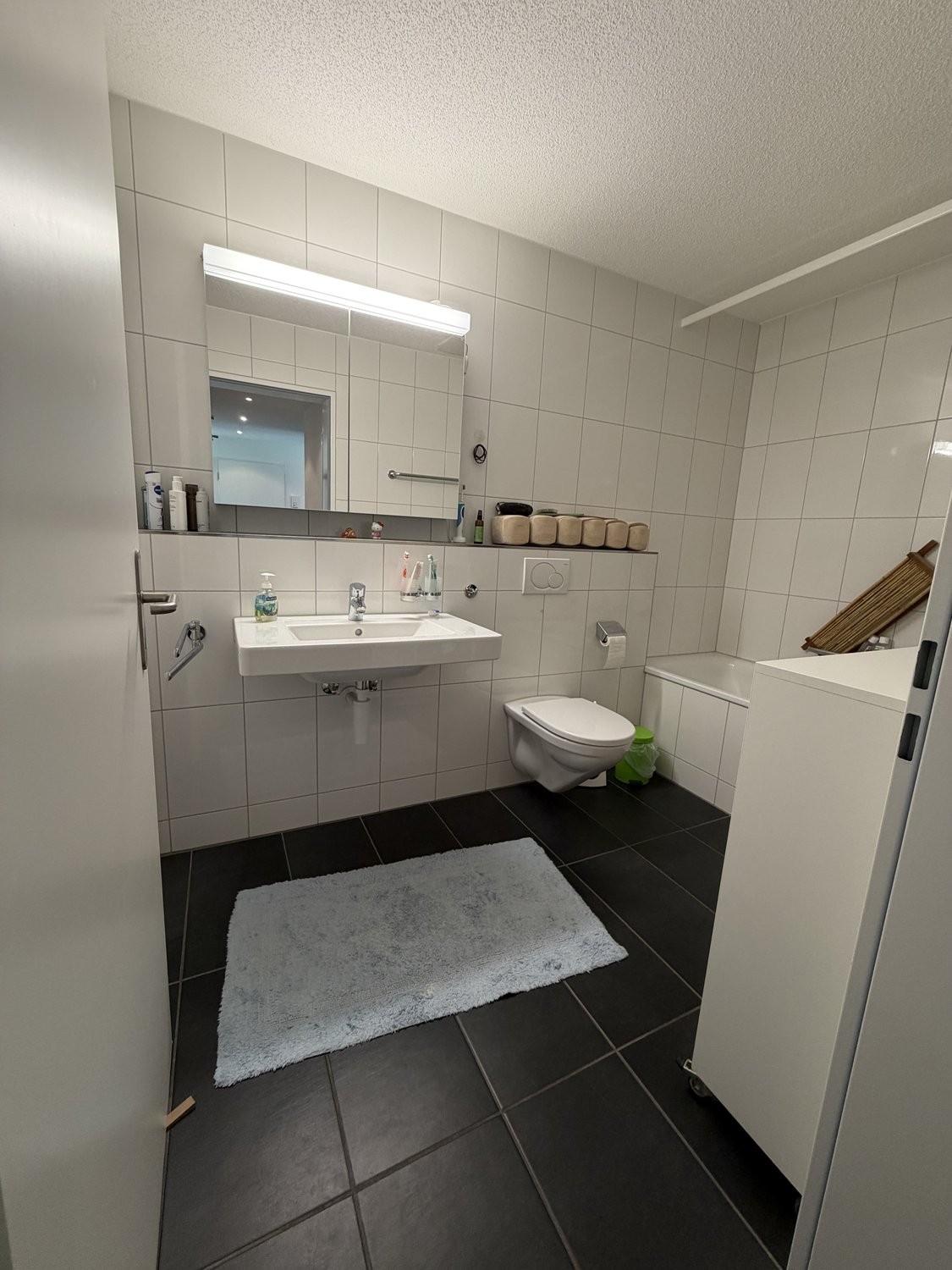 appartamento arredato di 3 ½ locali, foto 7 di 10