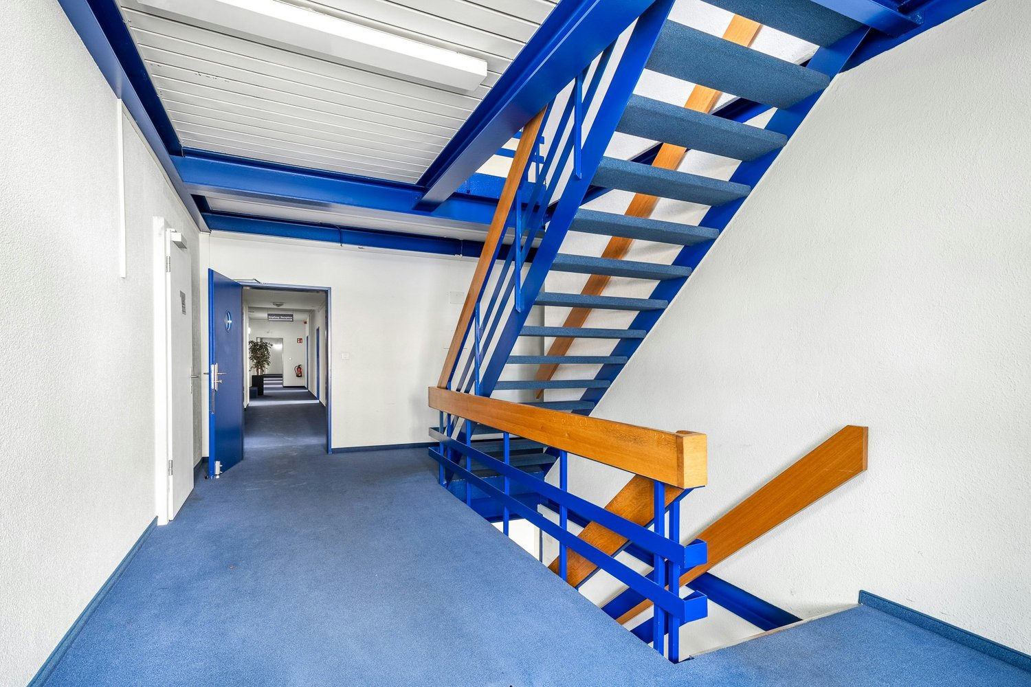 5400m² commerciale