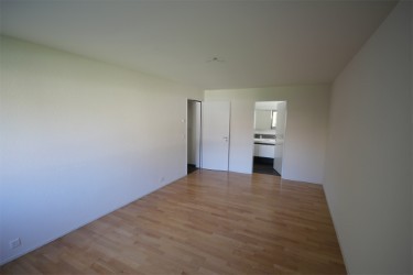 4 ½ Zimmer Wohnung