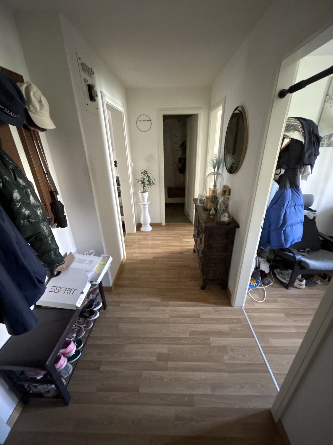Room in a shared flat