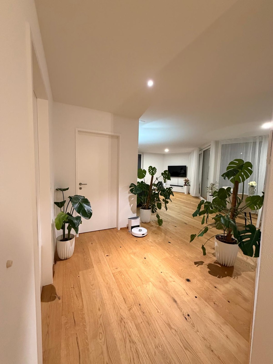 Appartamento di 1 ½ locali, foto 1 di 10