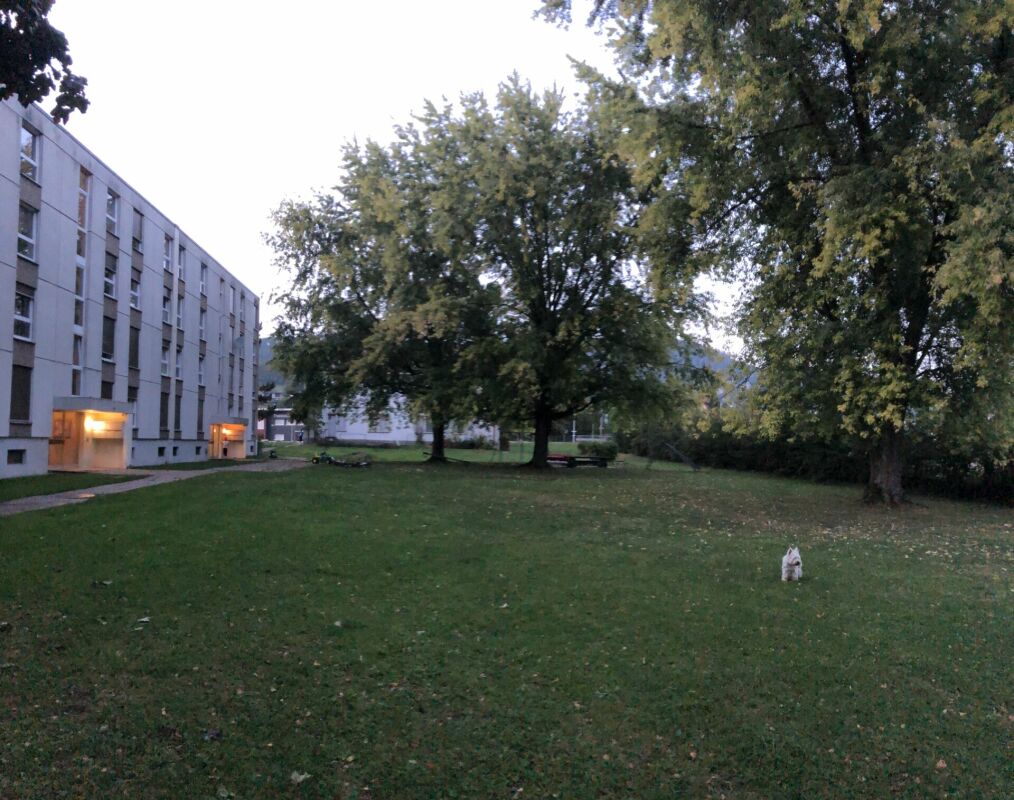 Appartamento di 3 ½ locali, foto 8 di 10