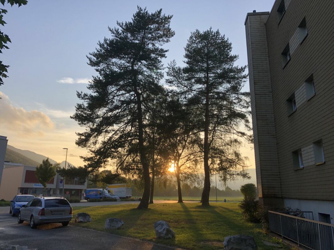 Appartamento di 3 ½ locali, foto 10 di 10
