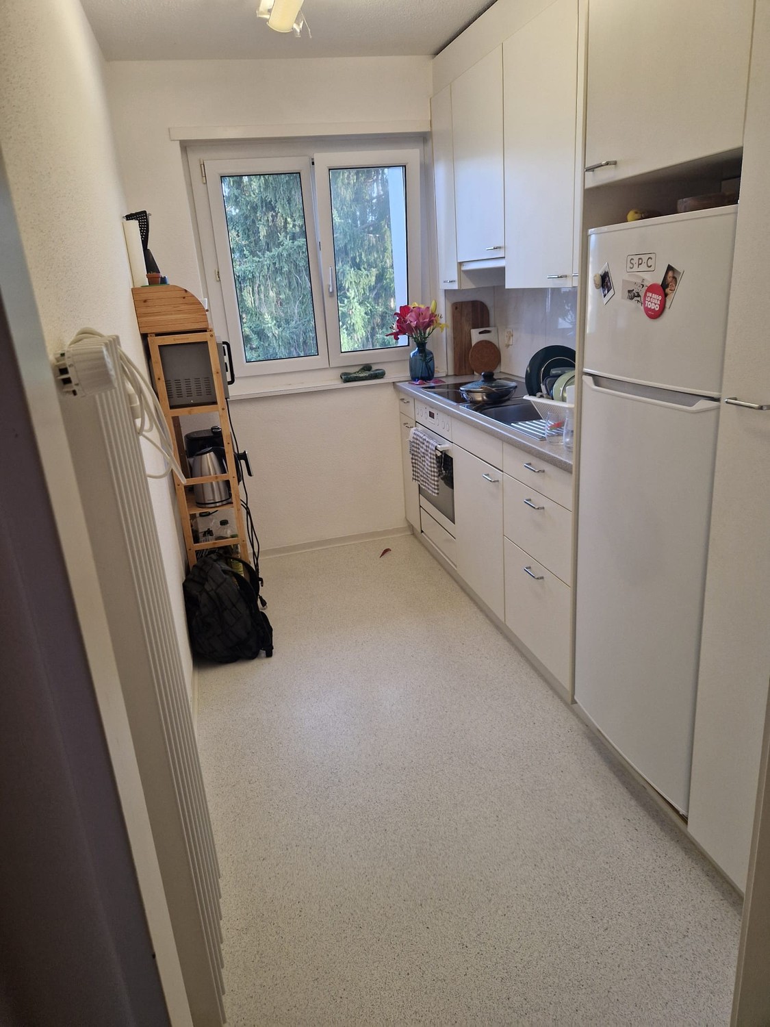 2 ½ rooms apartment