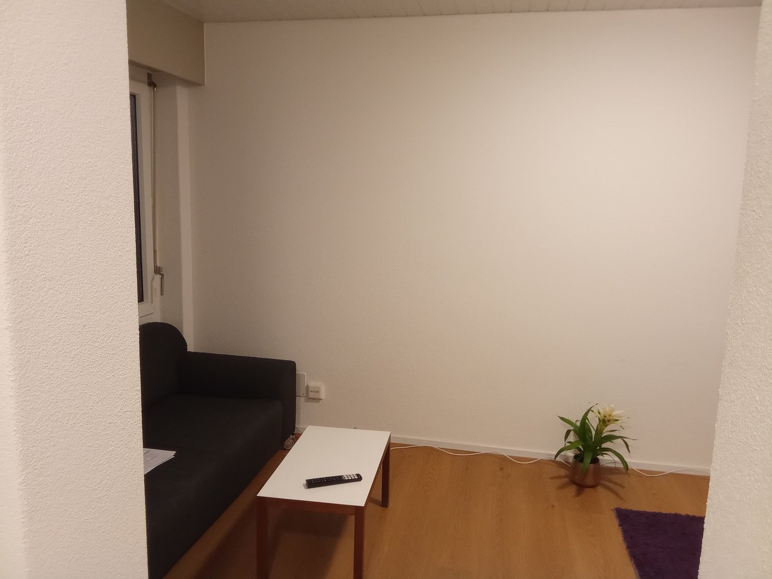 appartamento arredato di 2 ½ locali, foto 3 di 10