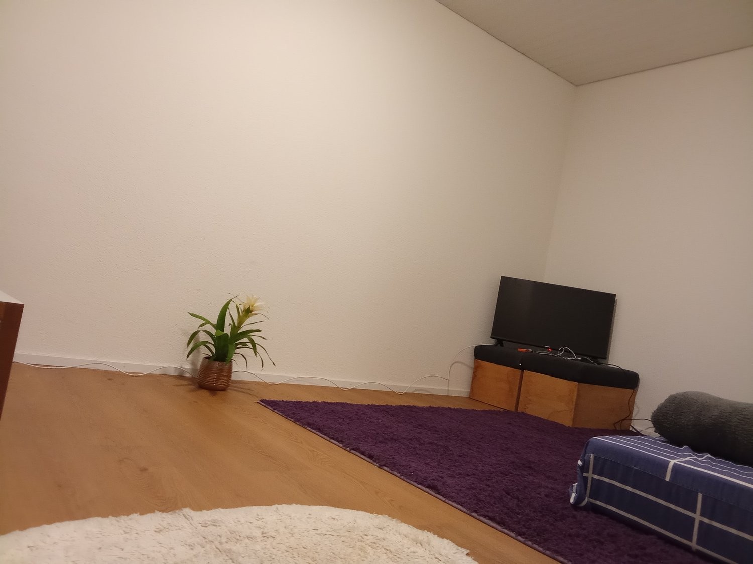 appartamento arredato di 2 ½ locali, foto 1 di 10