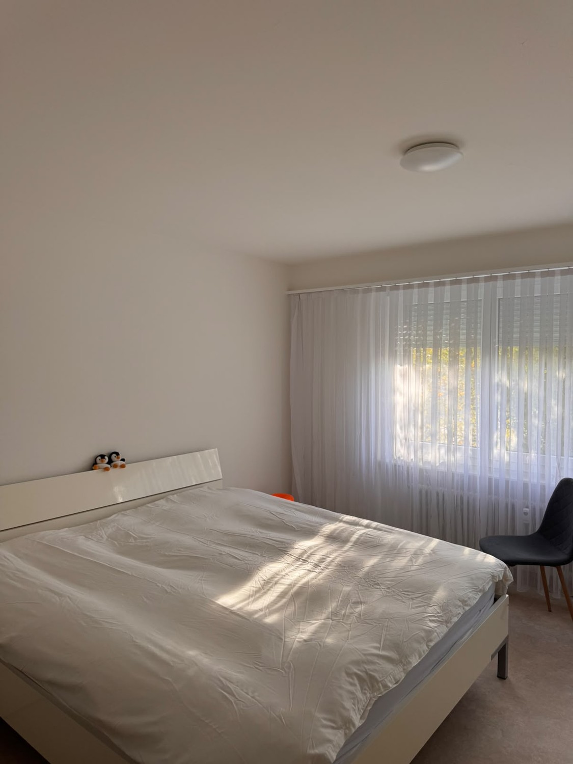 Appartamento di 2 ½ locali, foto 10 di 10
