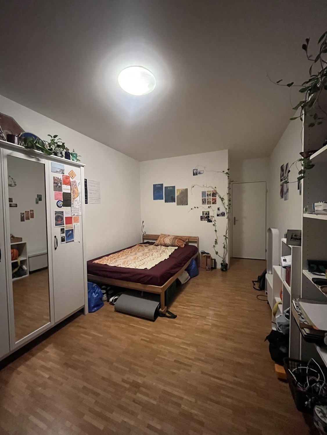 Stanza in un appartamento condiviso