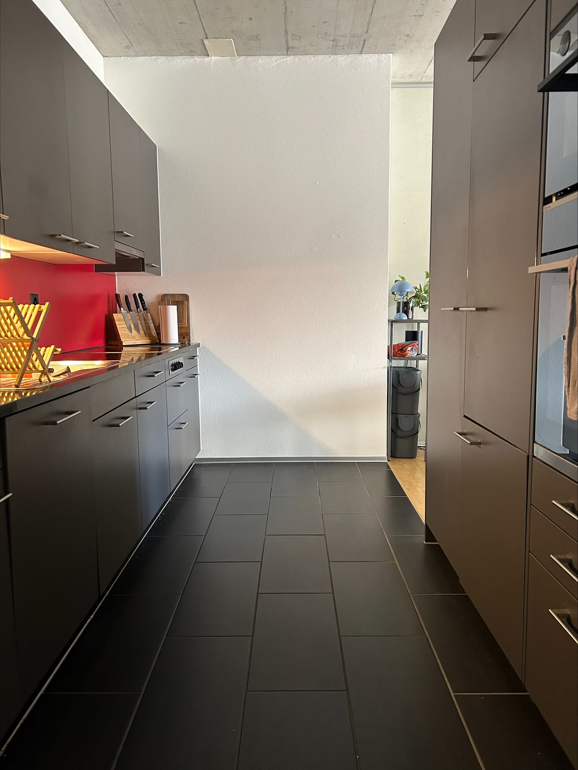 appartamento di 3 ½ locali, foto 3 di 9