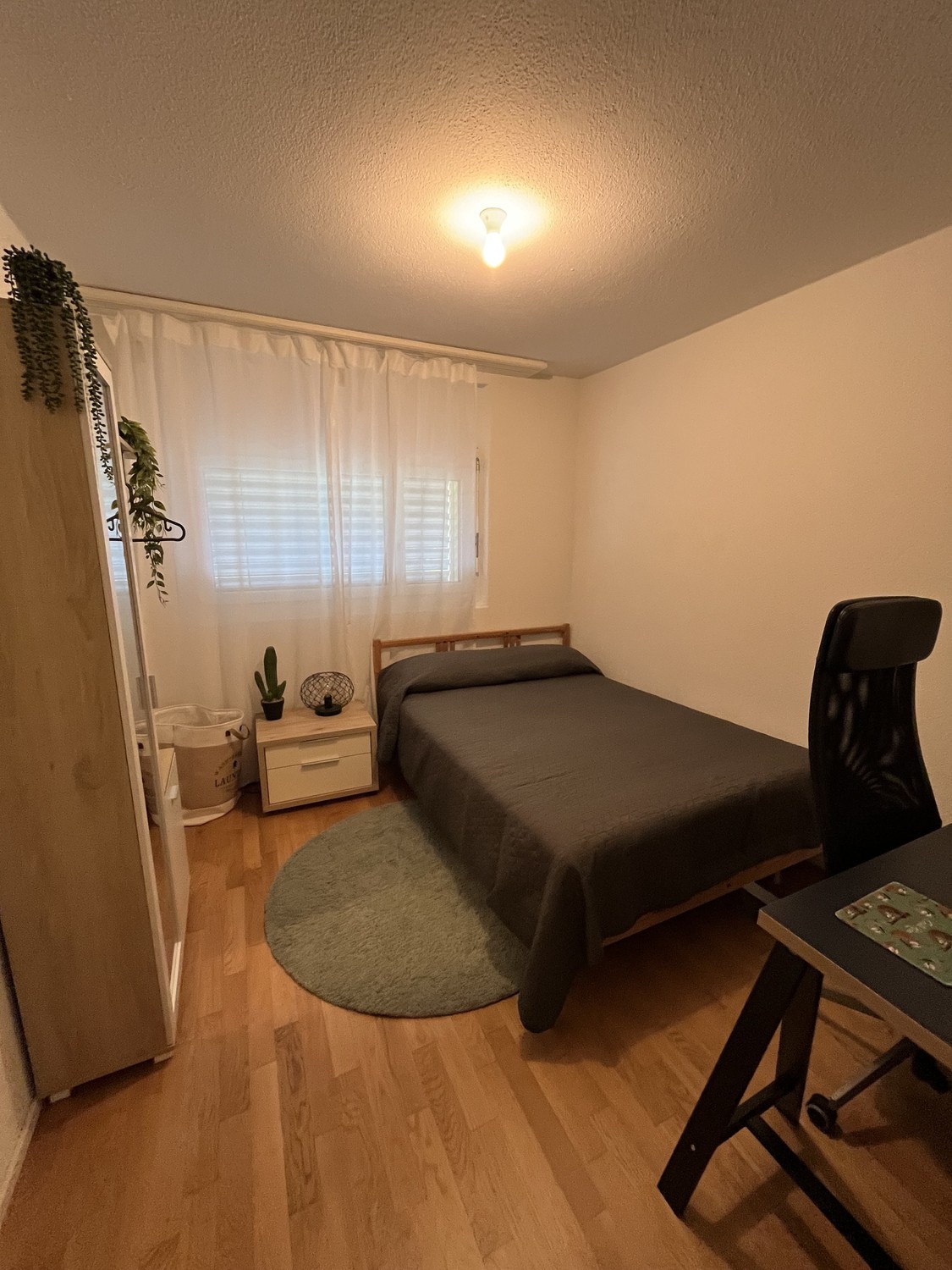 Appartamento di 1 ½ locali, foto 4 di 8