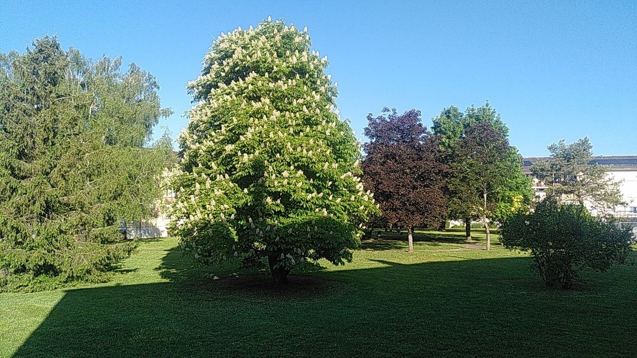 Appartamento di 4 locali, foto 1 di 10