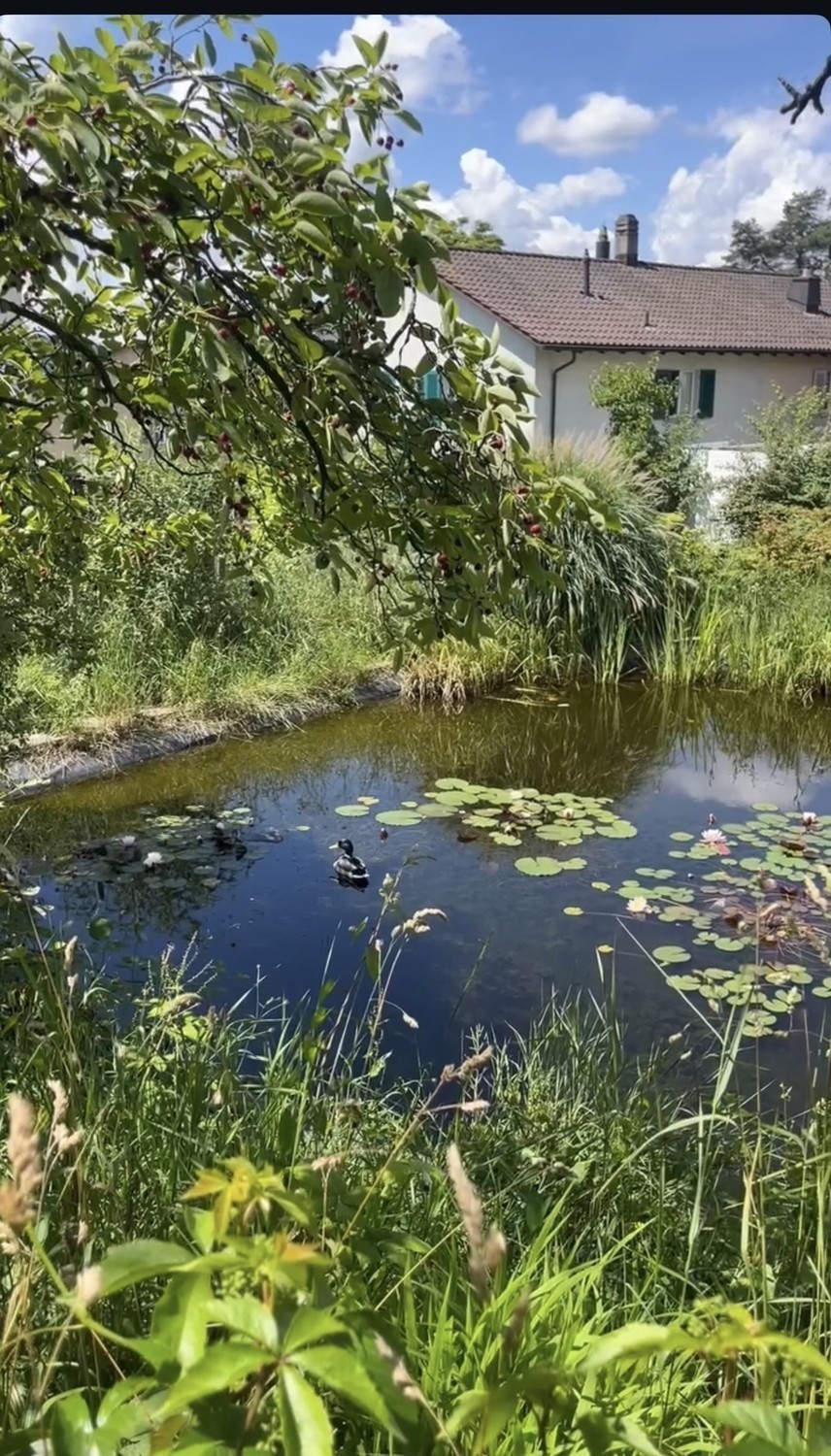 Zimmer in einer WG