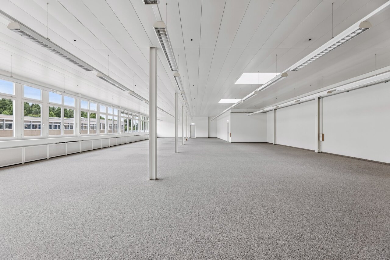331m² ufficio