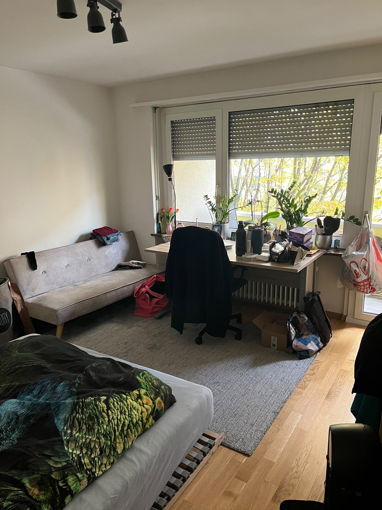 Stanza in un appartamento condiviso, foto 10 di 10