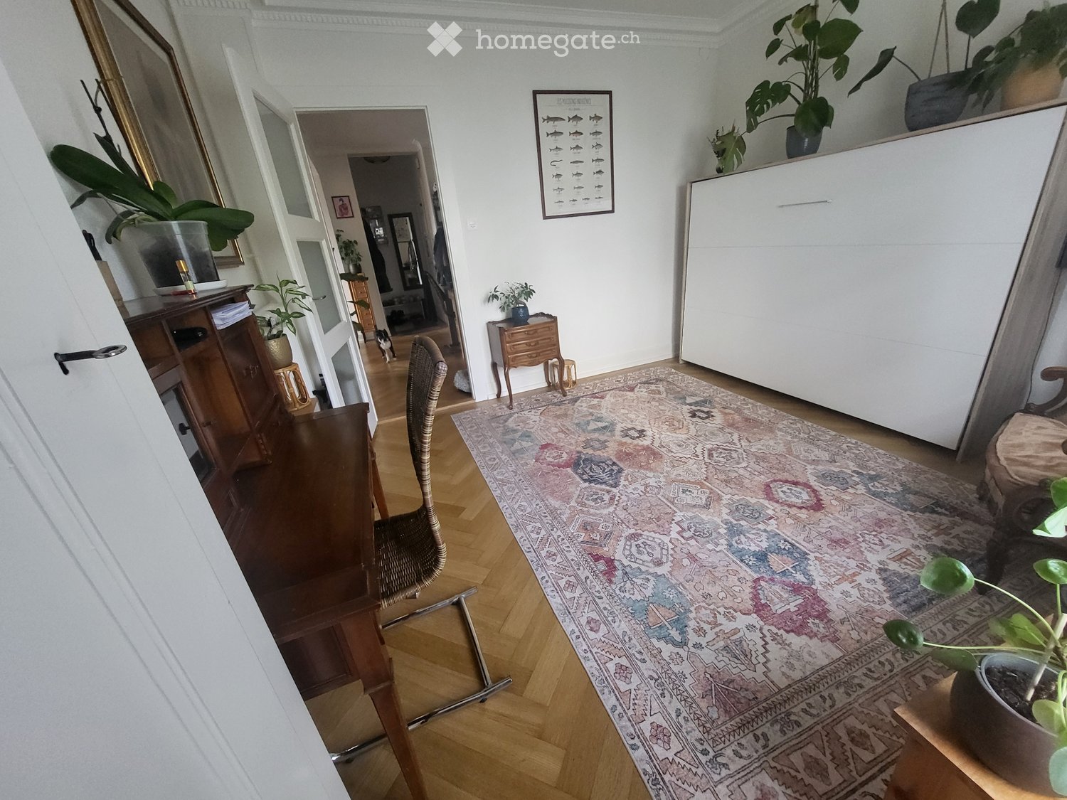 1 room single room, foto 4 di 4
