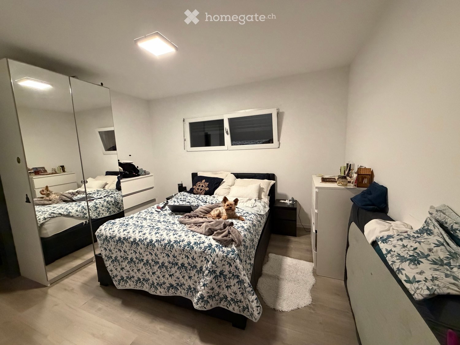 2 rooms apartment, foto 5 di 5