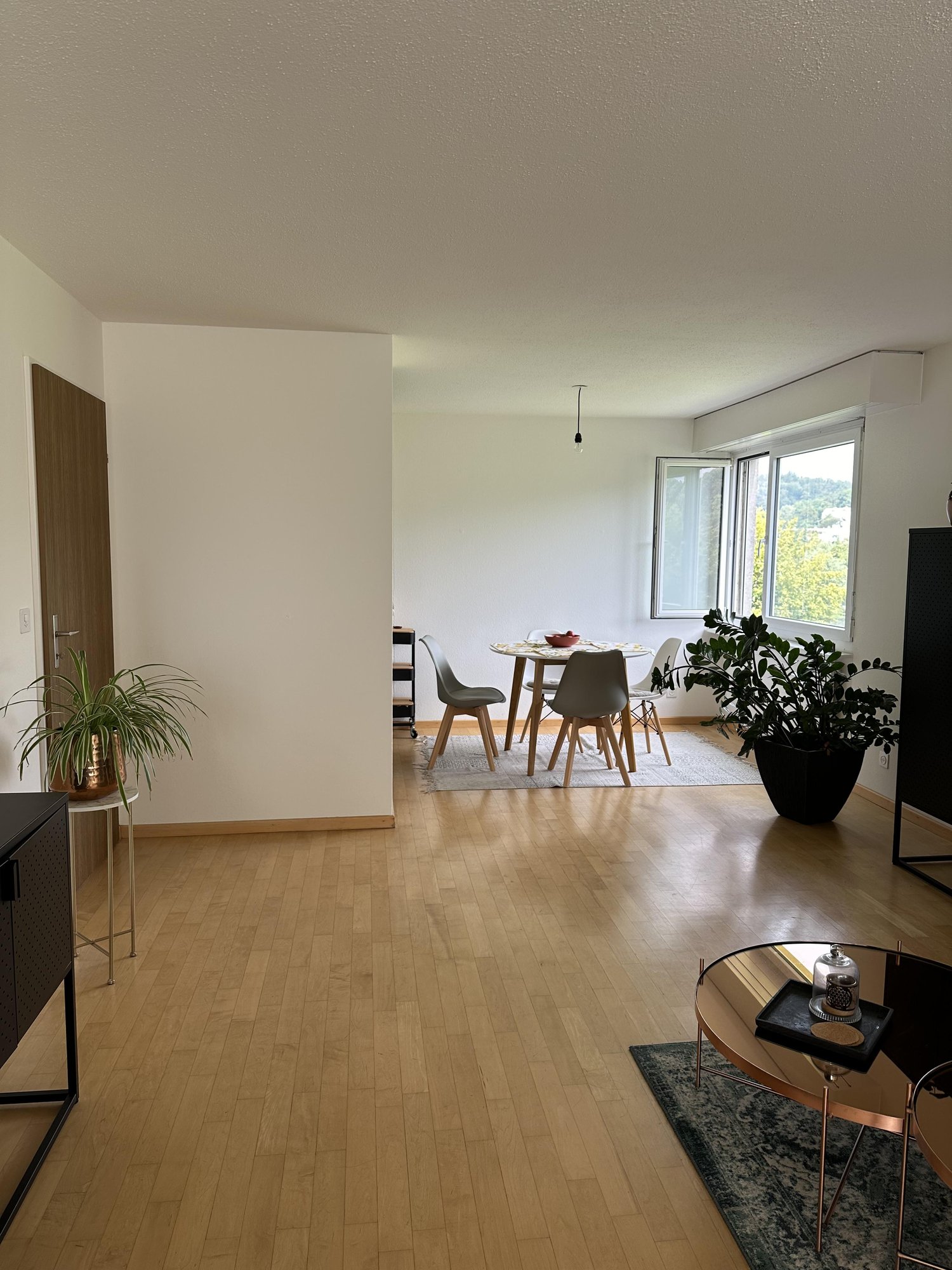 Appartamento di 2 ½ locali