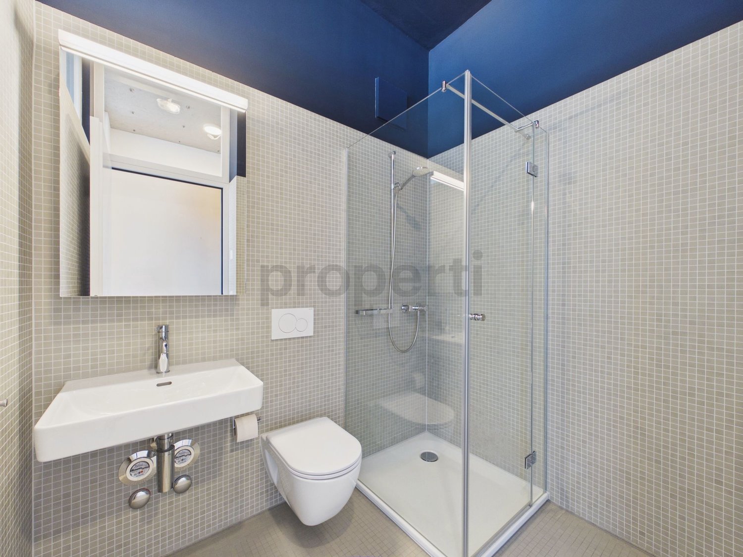 Appartamento di 2 ½ locali, foto 6 di 9