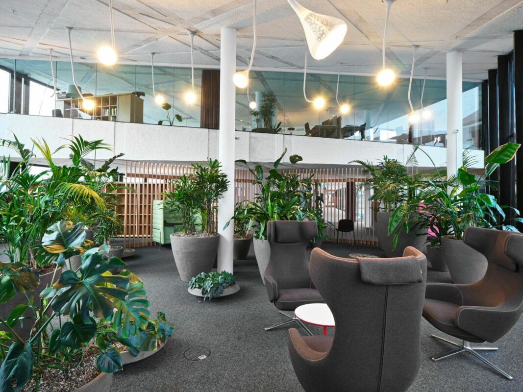 450m² ufficio, foto 4 di 8