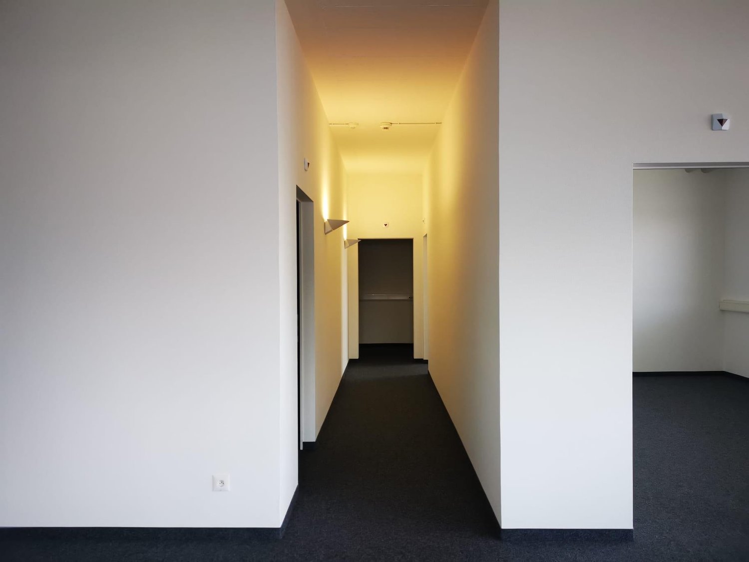 223m² office